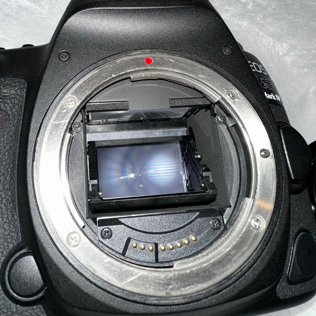 Canon EOS 5D Mark IV ボディ　おまけ予備バッテリーCFカード
