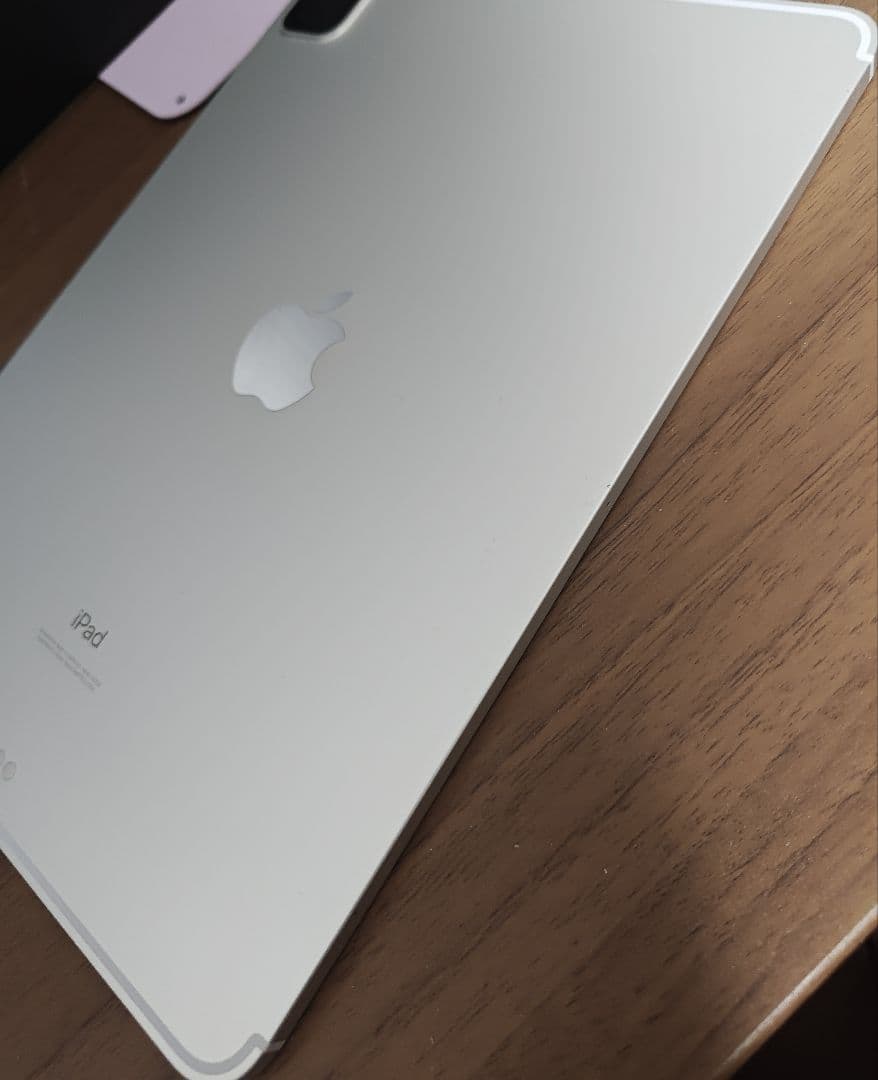 iPad Pro 11インチ 第2世代 128GB シルバー セルラー au