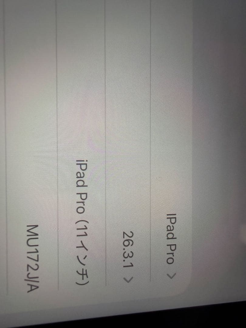 iPad Pro 11インチ 第1世代 256GB ※外装、バッテリー難あり