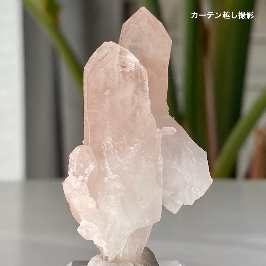 お受け取りまでの確認ページ