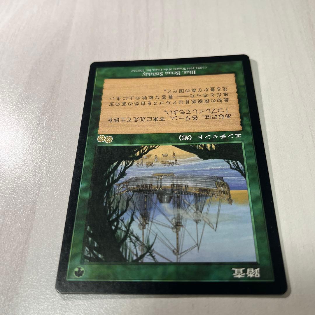 踏査／Exploration　MTG