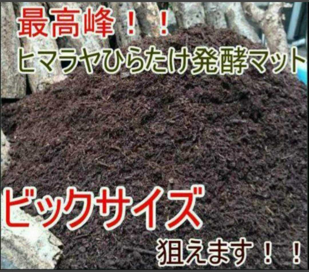 国産カブトムシ８８ミリ羽化実績多数！ネット売上1位！発酵マット【360リットル】