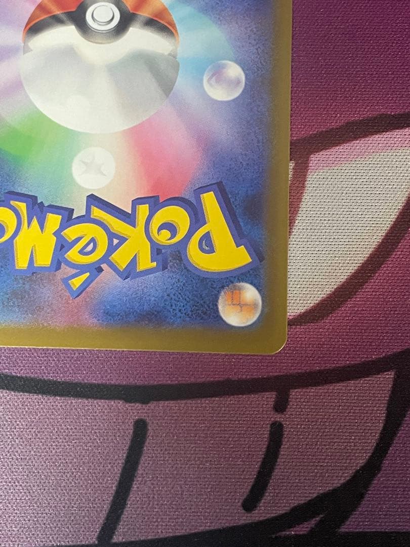 ブエナビスタグチ様