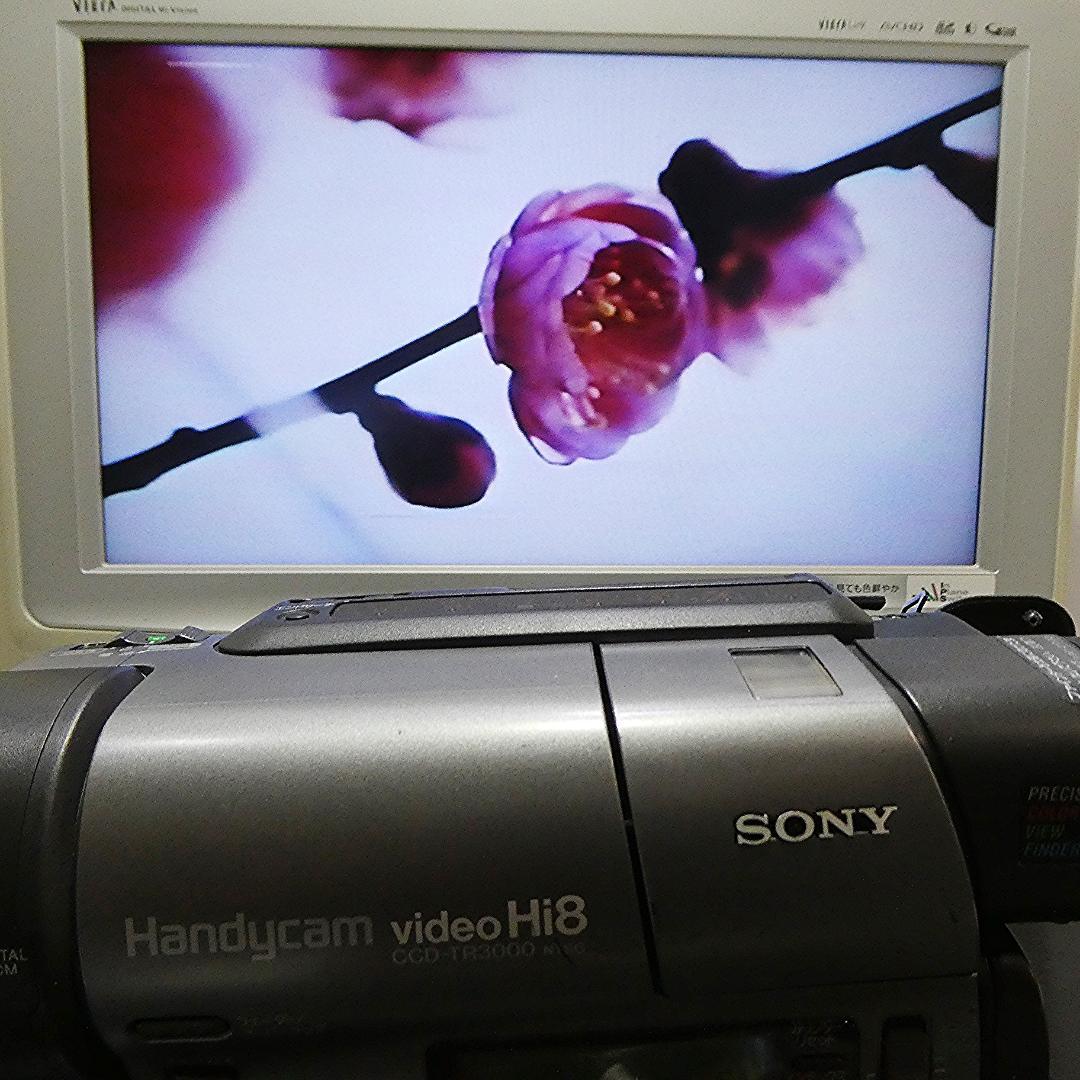 動作良好 ソニーVideoHi8 CCD-TR3000 8ミリビデオ　DVD化に