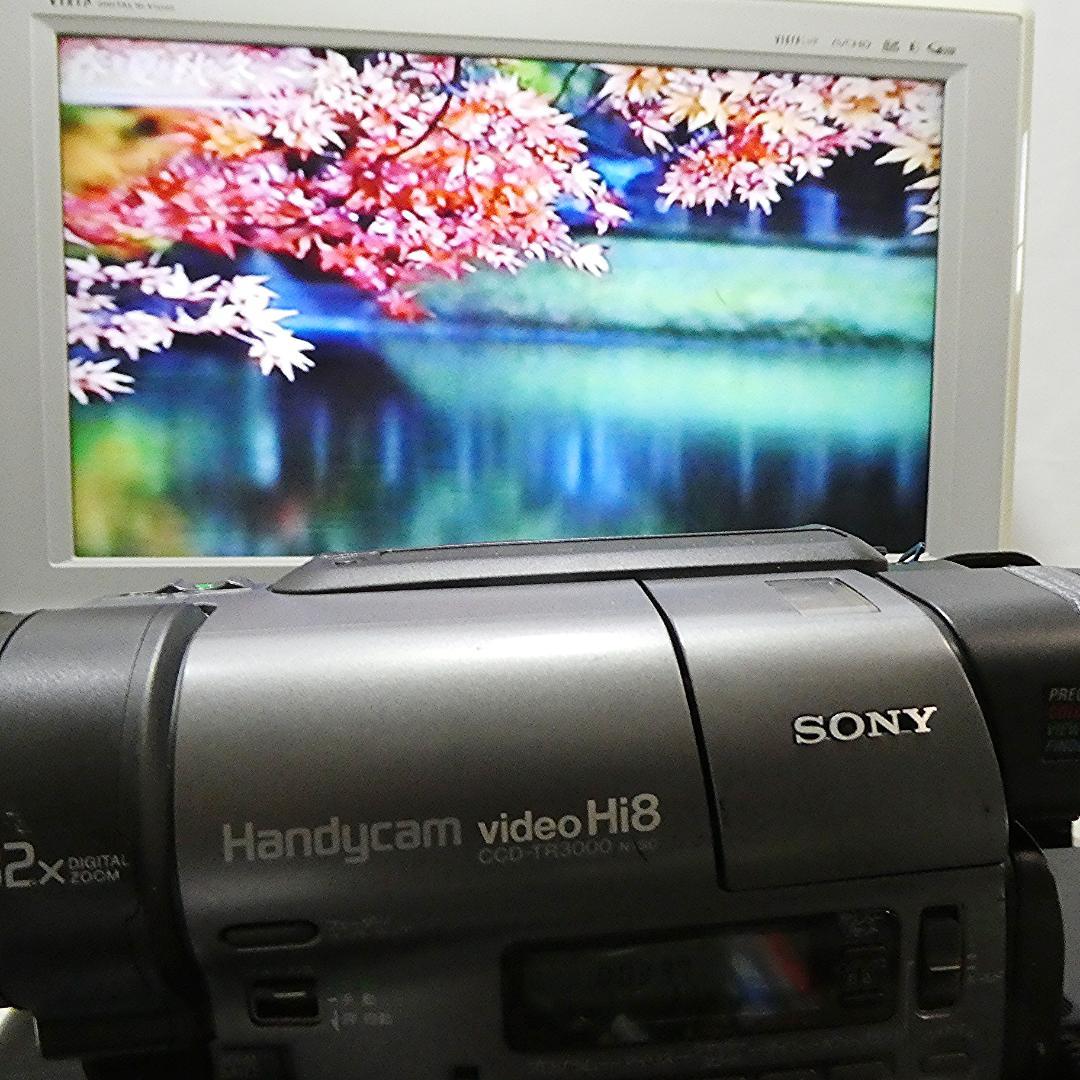 動作良好 ソニーVideoHi8 CCD-TR3000 8ミリビデオ　DVD化に