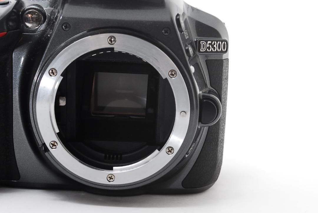 Nikon D5300 Wi-Fi スマホ転送 手振れ補正