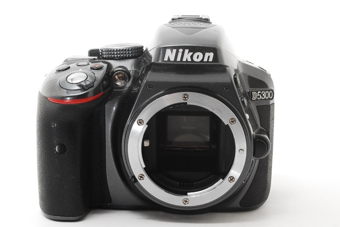 Nikon D5300 Wi-Fi スマホ転送 手振れ補正