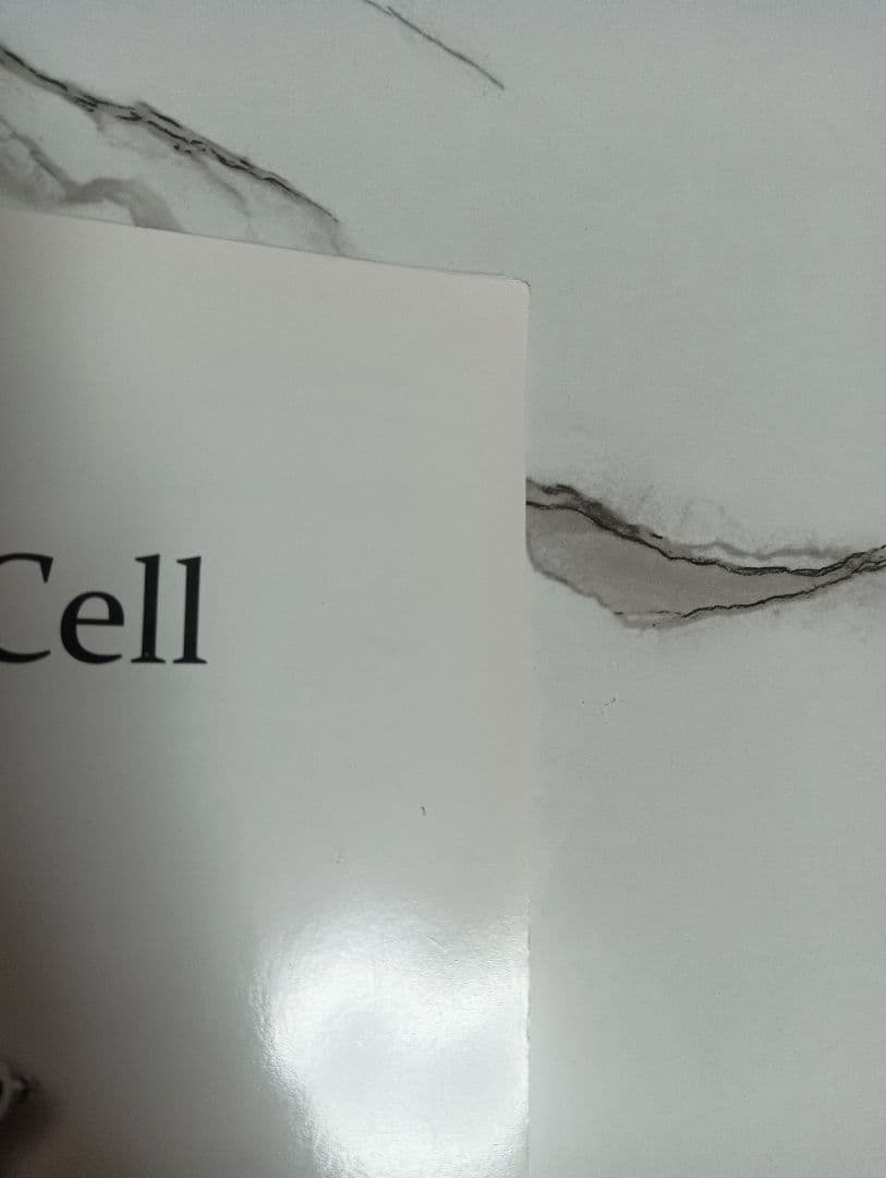 Ruby-Cell ルビーセル 美顔器 エアブラシ 専用ケース 説明書 付き