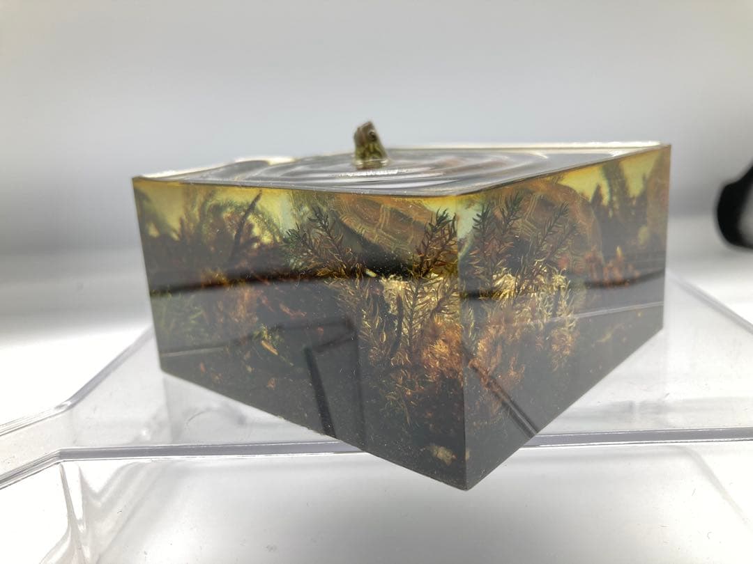 水辺の風景ジオラマ クサガメ 動物完成品 クサガメフィギュア