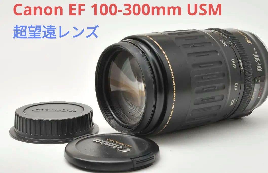 3月24日限定特価【超望遠レンズ】Canon EF 100-300mm USM