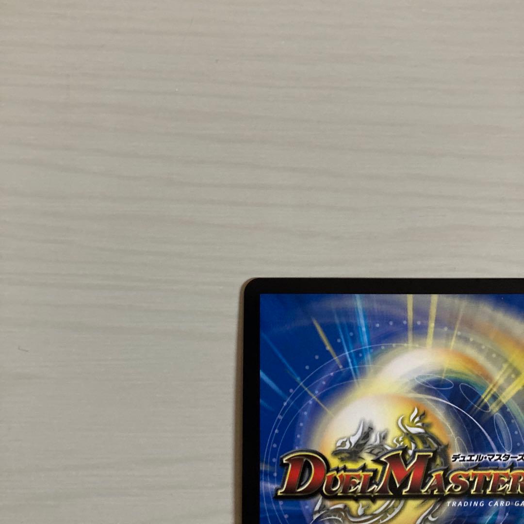 メルカリ便 聖霊超王 Hアルカディアス 秘 シク シークレット 2枚セット