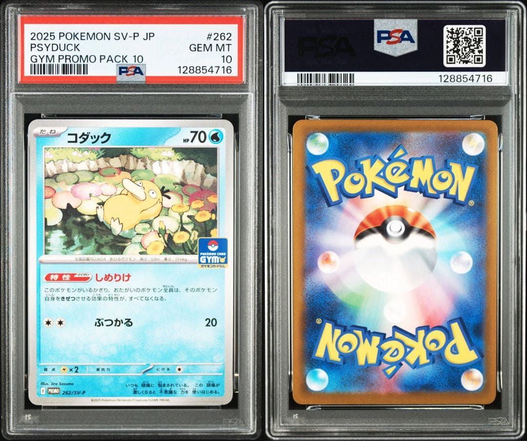 【PSA10】コダック　しめりけ　ジムプロモ　262/SV-P