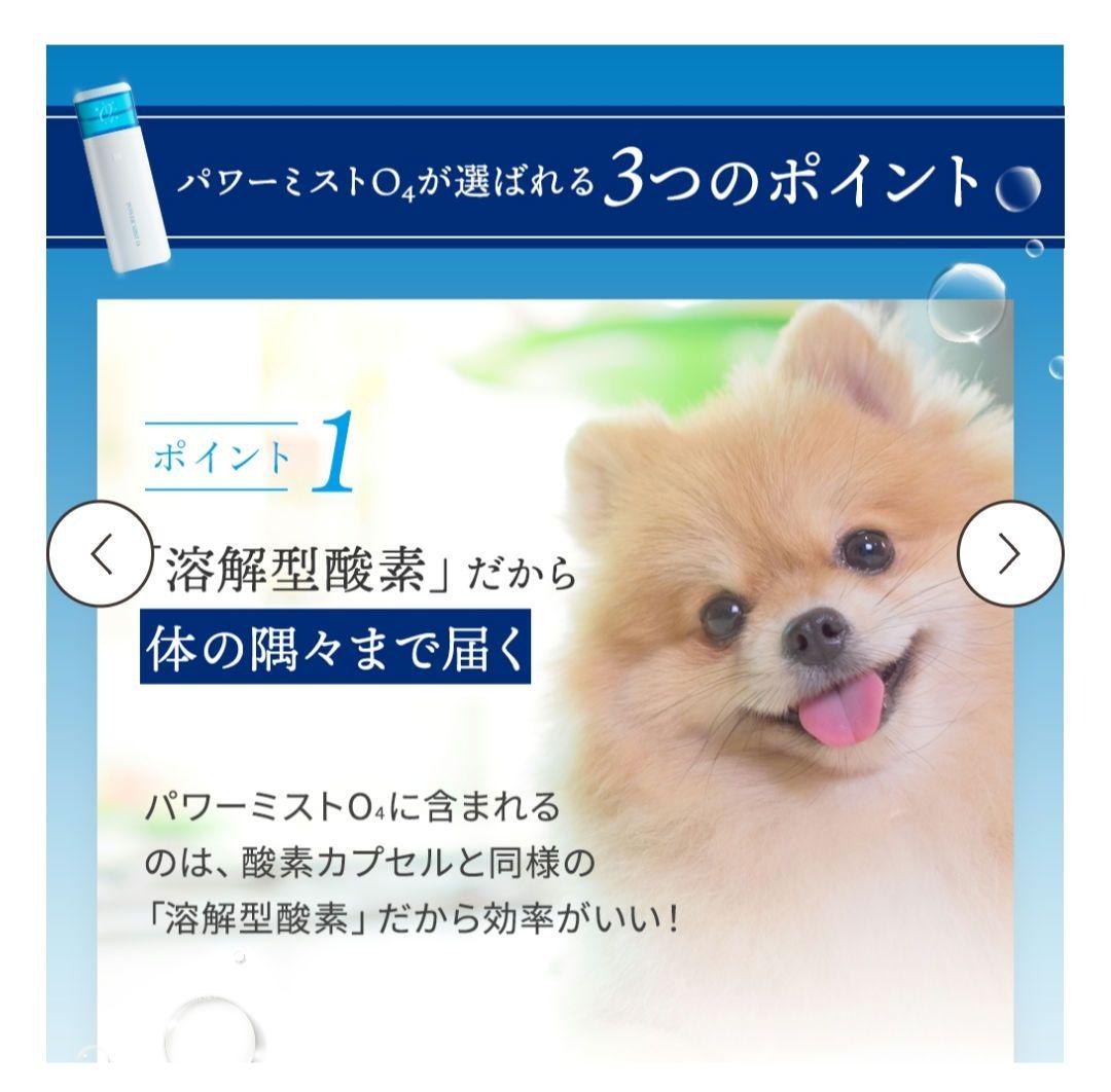 【新品未使用】TEO パワーミストO4 専用酸素水150mm×2付き