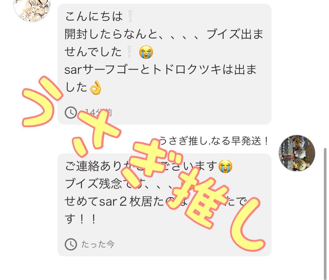 テラスタルフェス　ムニキスゼロ　バラパック