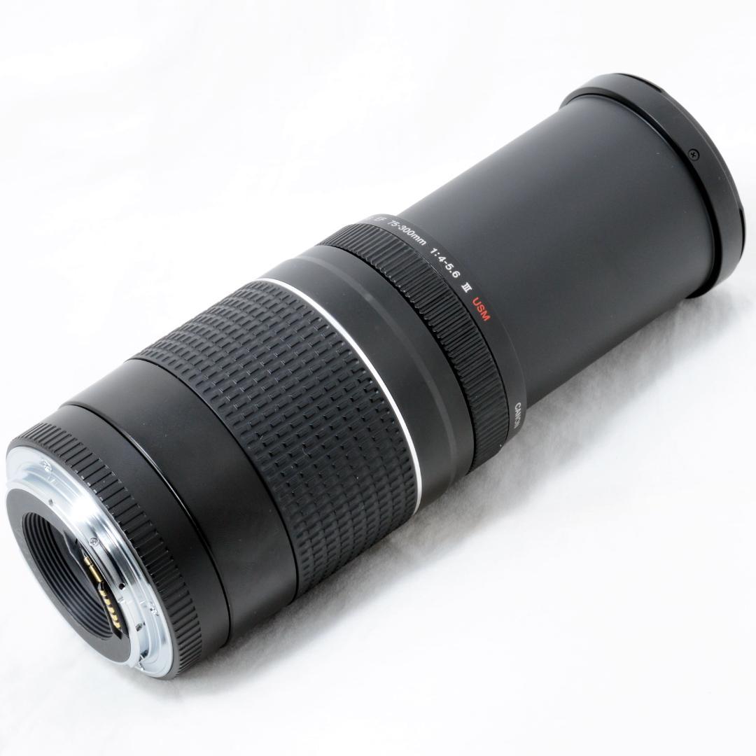 ⭐️実用品⭐️Canon キャノン EF 75-300mm 4-5.6 ⅢUSM