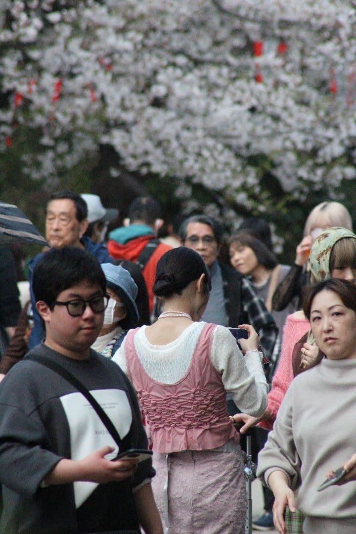 デジタルカメラ Canon EOS kiss x5 with (3lens )
