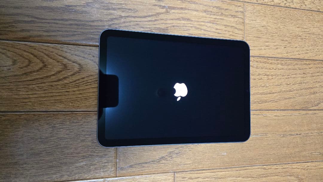 iPadmini 第6世代　アップルペンシル 純正カバー
