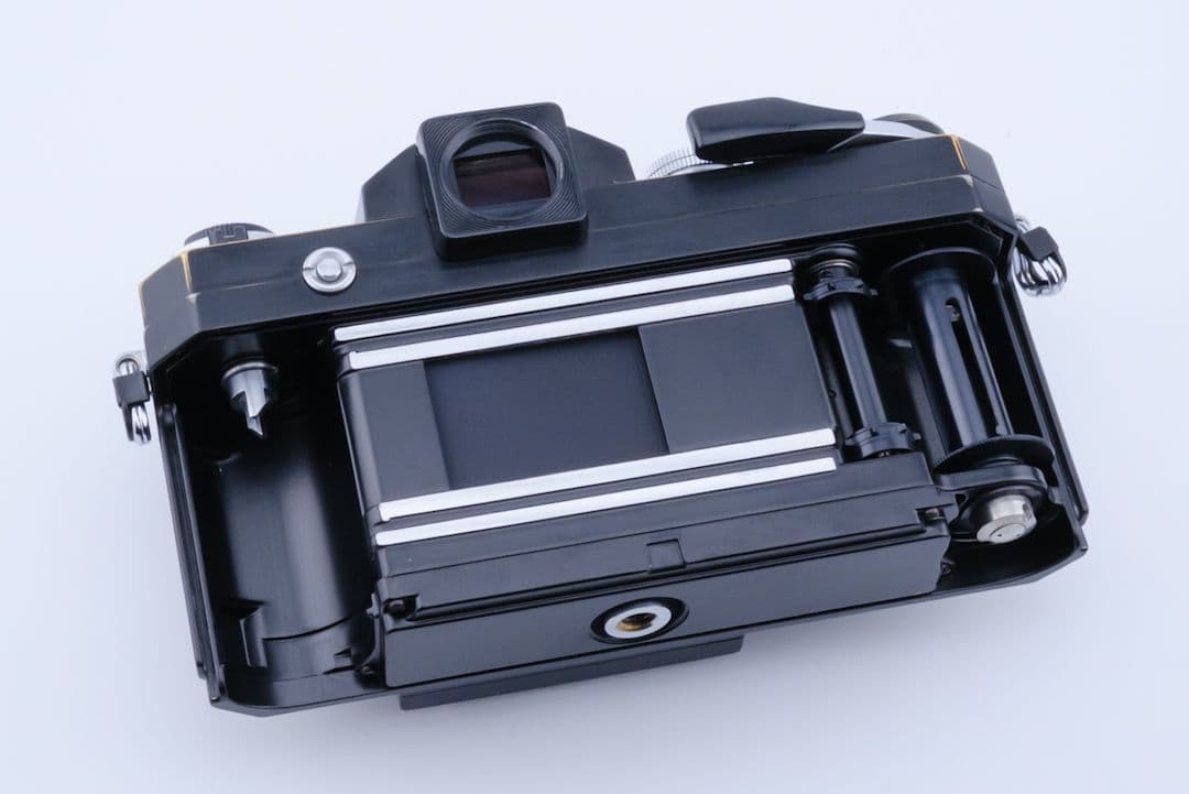 フィルム実写あり Nikon F後期 + Auto 50mm F2