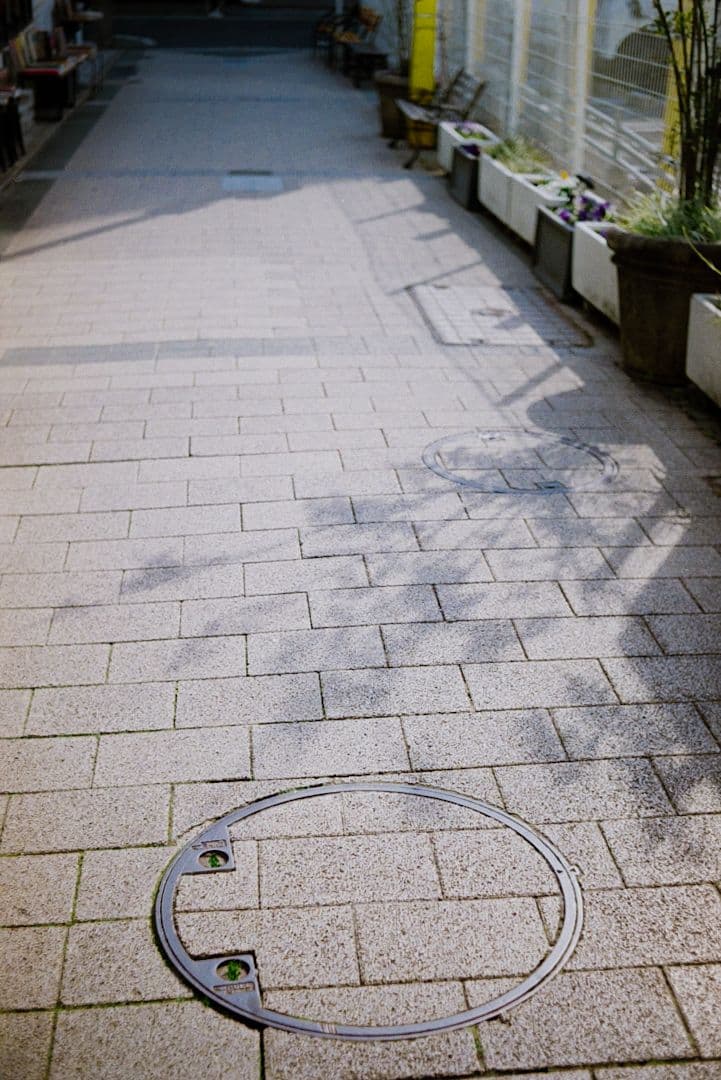 フィルム実写あり Nikon F後期 + Auto 50mm F2