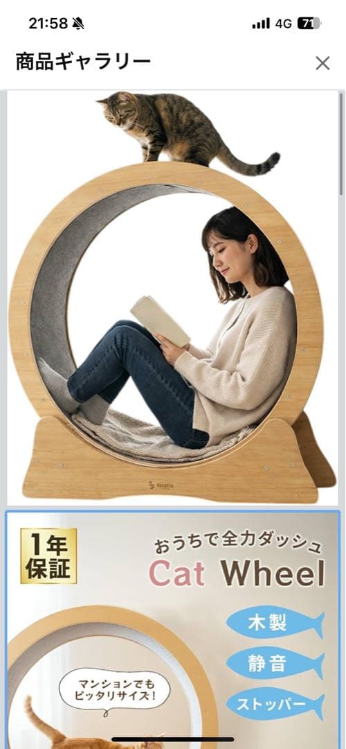 キャットホイール 木製 静音 ストッパー付き直径80cmストレス解消猫用運動器具