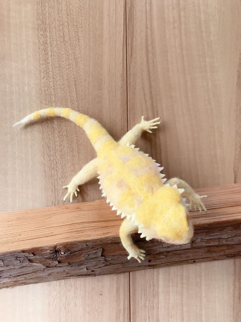 フトアゴヒゲトカゲ　イエロー