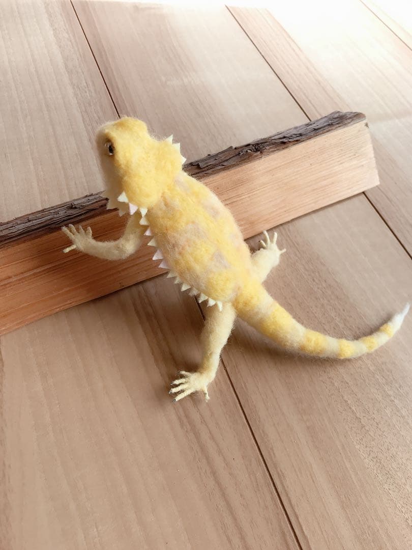 フトアゴヒゲトカゲ　イエロー