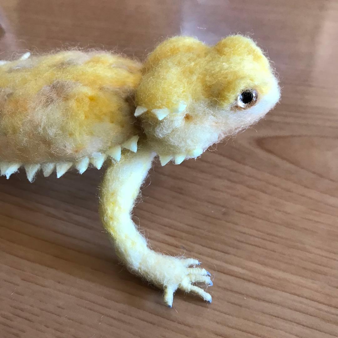 フトアゴヒゲトカゲ　イエロー
