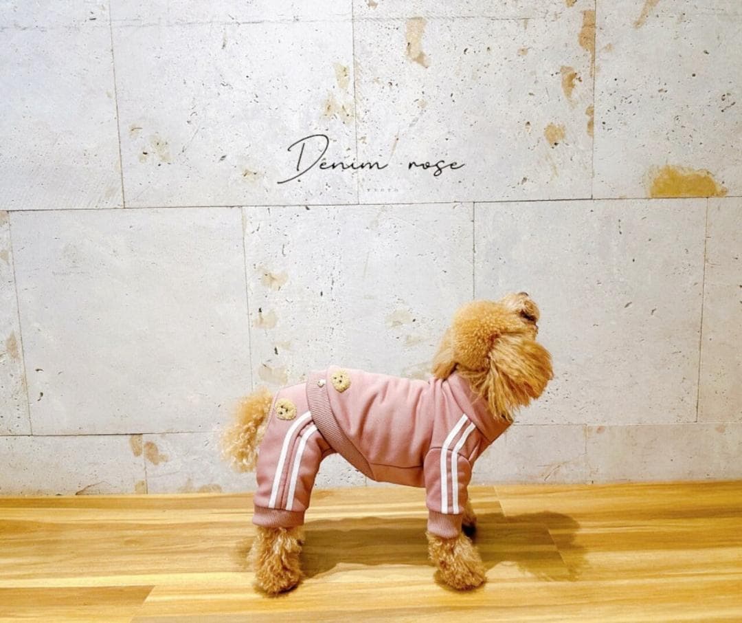 DENIM ROSE ワッペンジャージパンツ