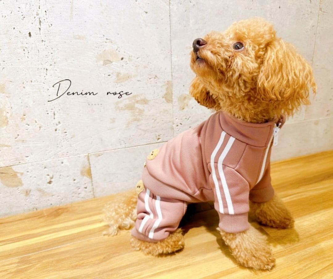 DENIM ROSE ワッペンジャージパンツ