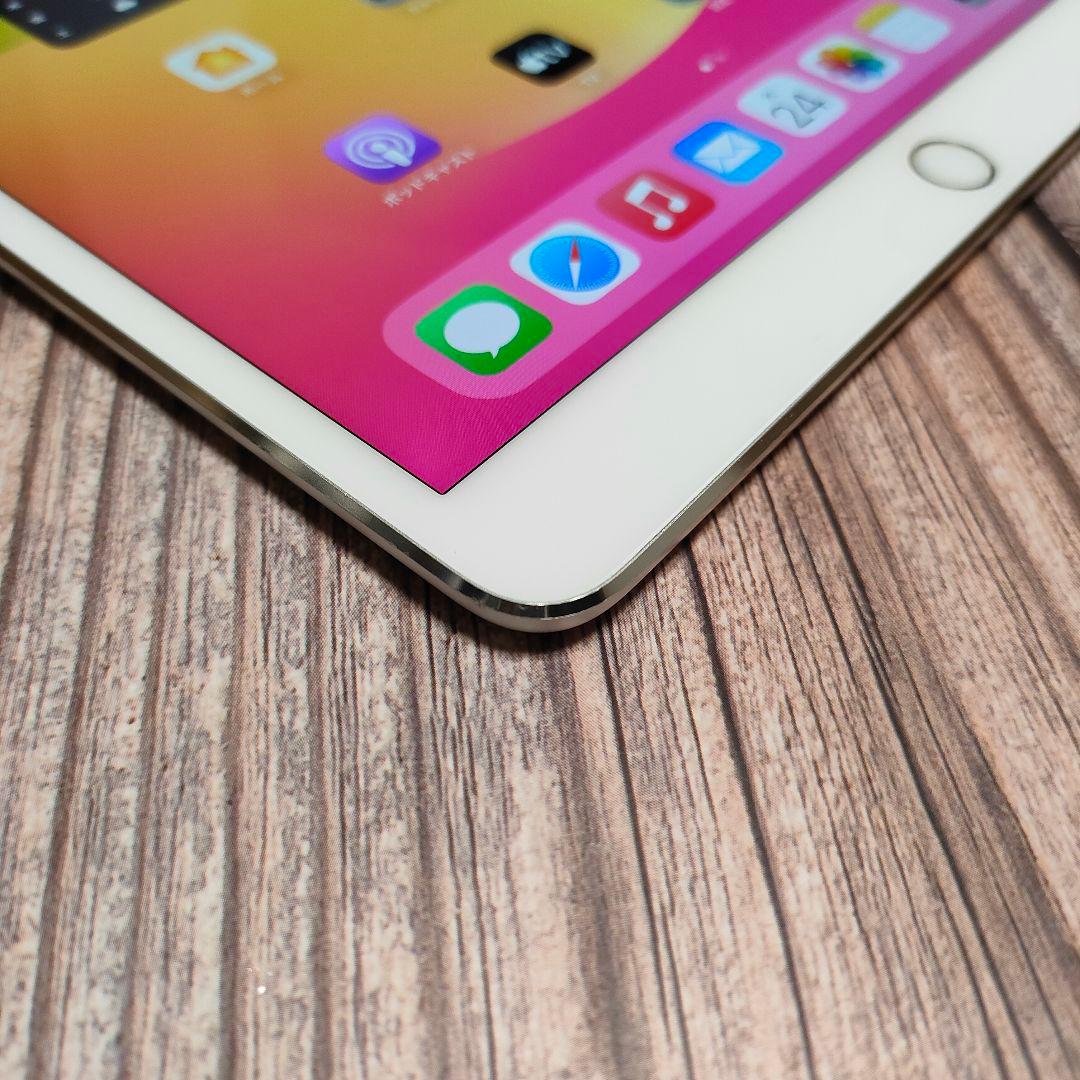 iPad Pro 10.5インチ 256GB バッテリー90% 美品