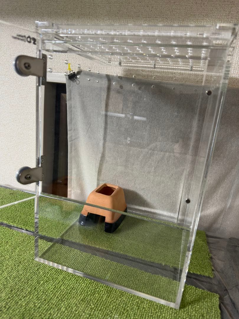 【A】Small Dinosaur【美品】スモールダイナソー アクリルケージ