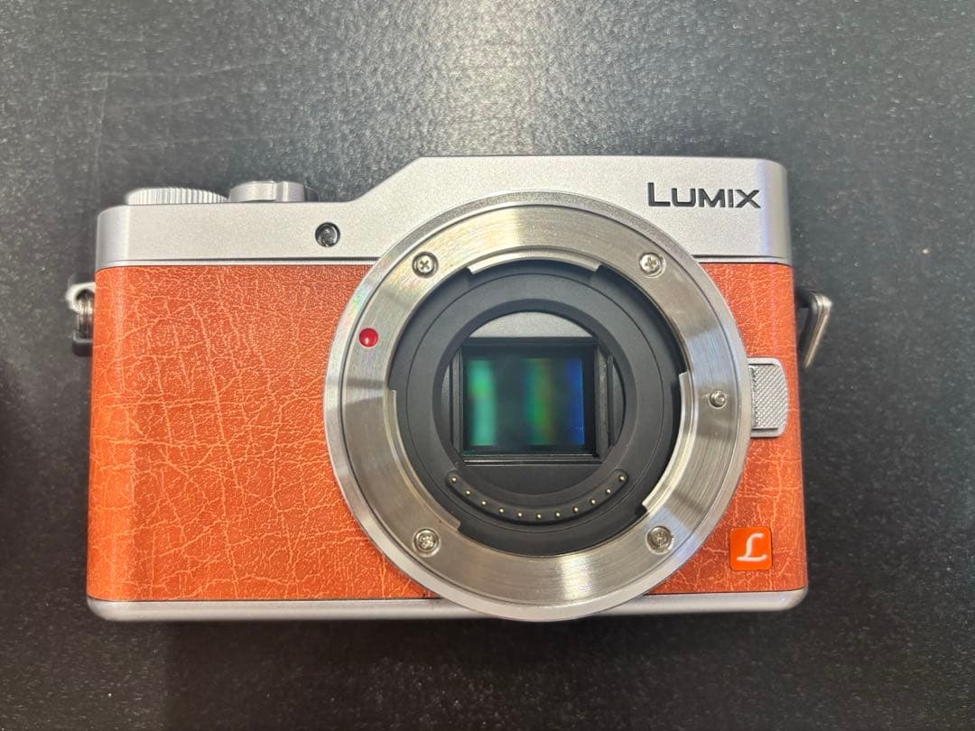 デジタルカメラ Panasonic LUMIX DC-GF9W