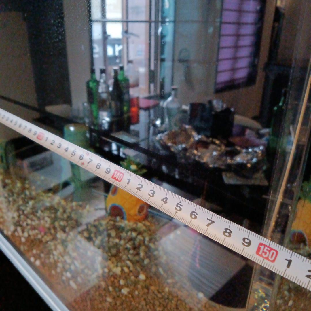 大型アクリル水槽 淡水水槽 150cm