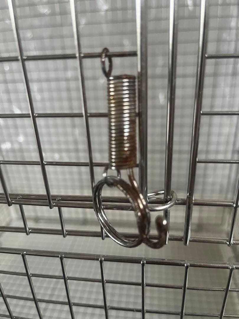 ⭐︎
