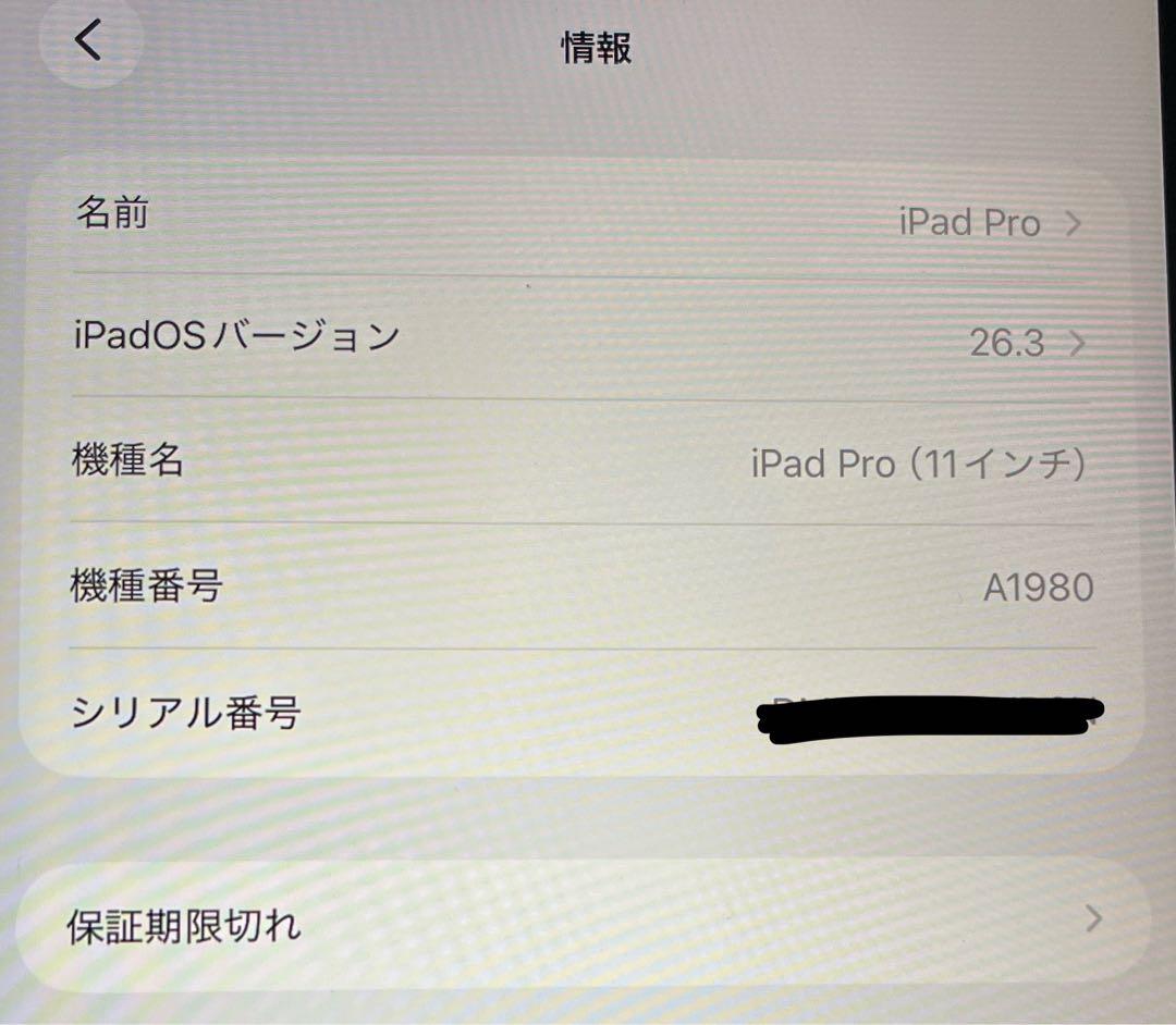 Apple iPad Pro 11インチ 第1世代 本体 ジャンク