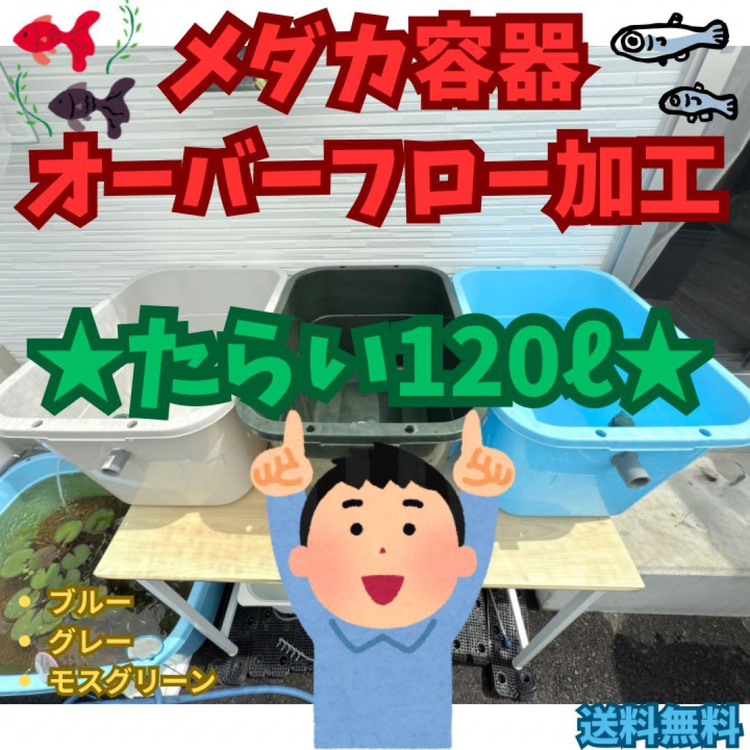 メダカ飼育ケース オーバーフロー(たらい120L)メダカ飼育 容器たらい
