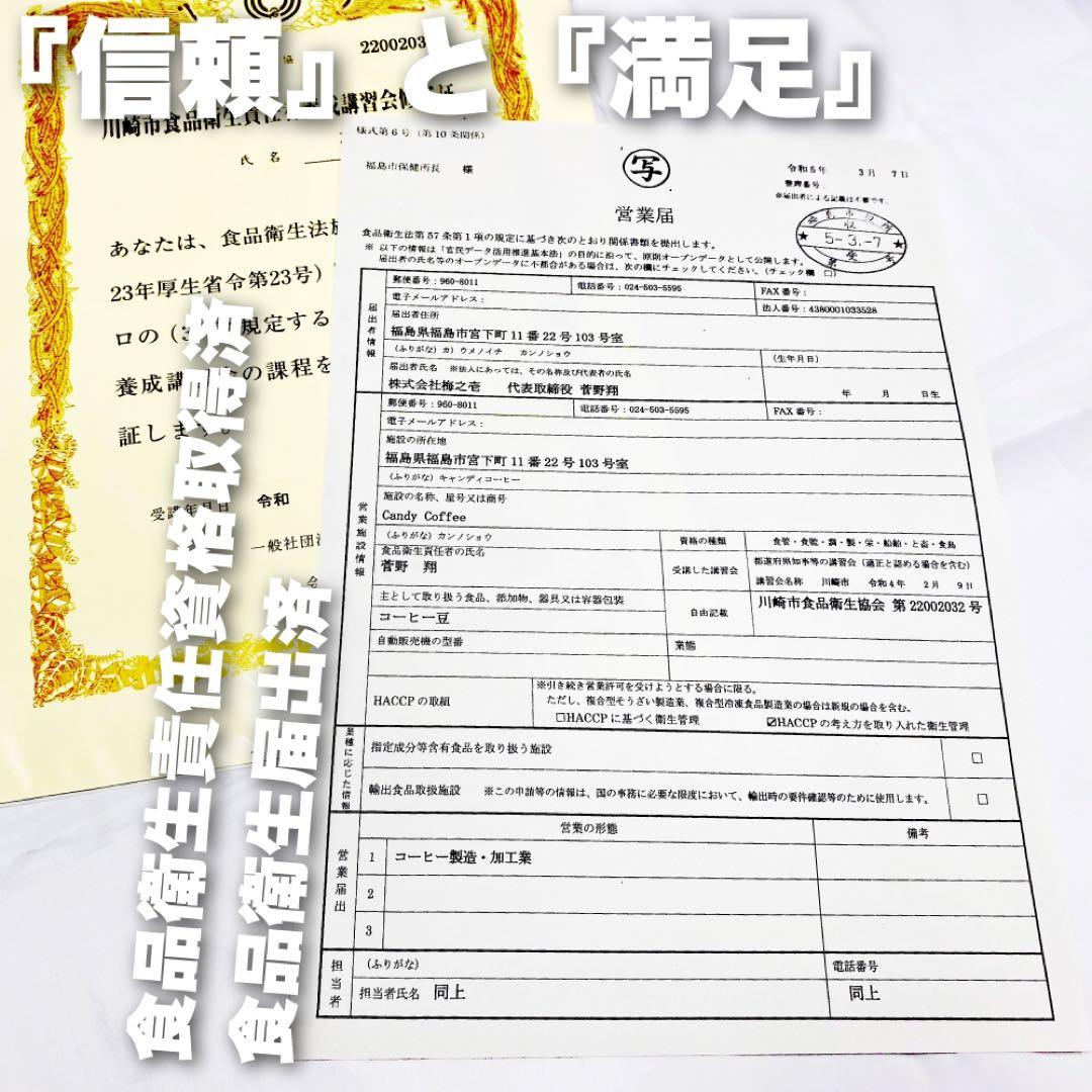 大容量 大満足 ブルーマウンテンブレンド 焙煎仕立て コーヒー豆