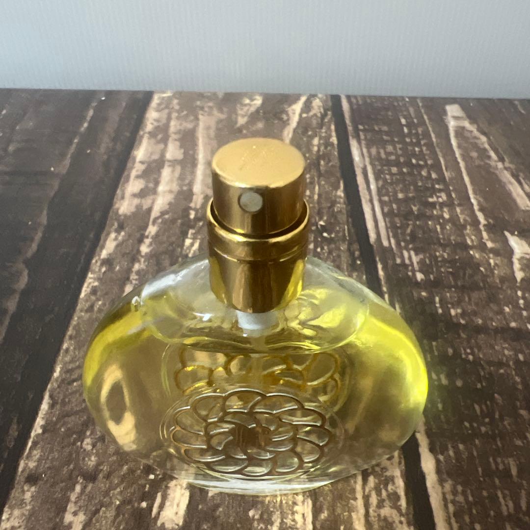 ゲラン　メテオリット　オーデトワレ　30ml