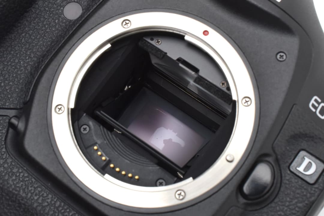 CANON キヤノン EOS-1 D Mark III #C896
