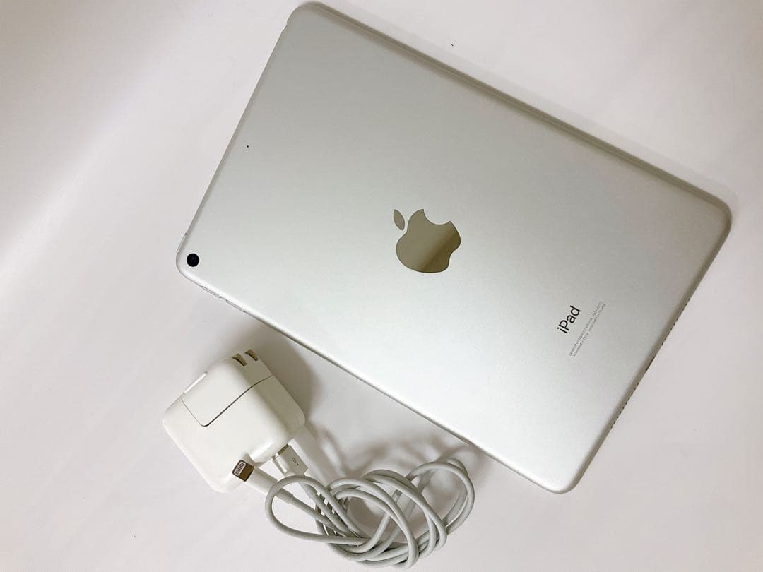 【美品】iPad mini 第5世代64GB Wifiモデル 付属品完備