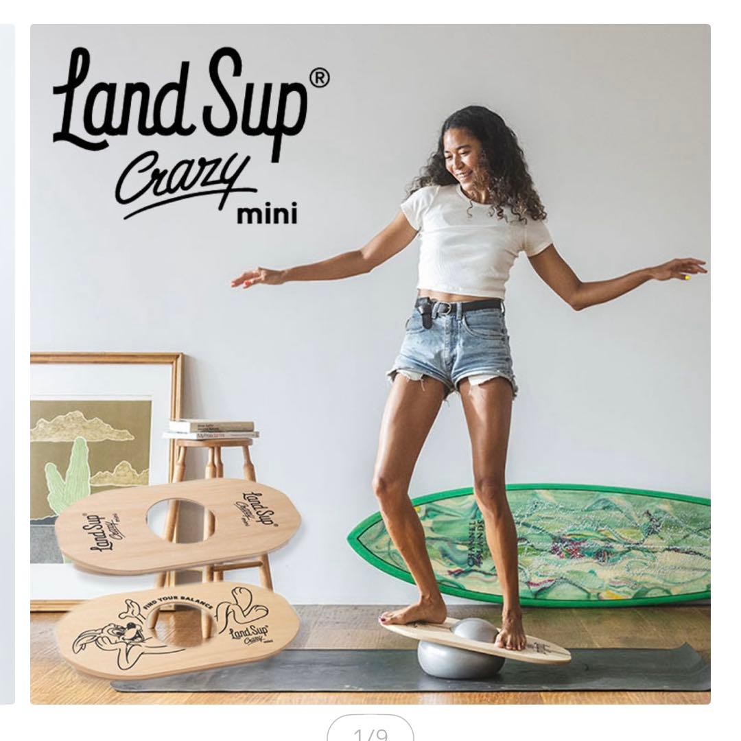 Land Sup Crazy mini バランスボード