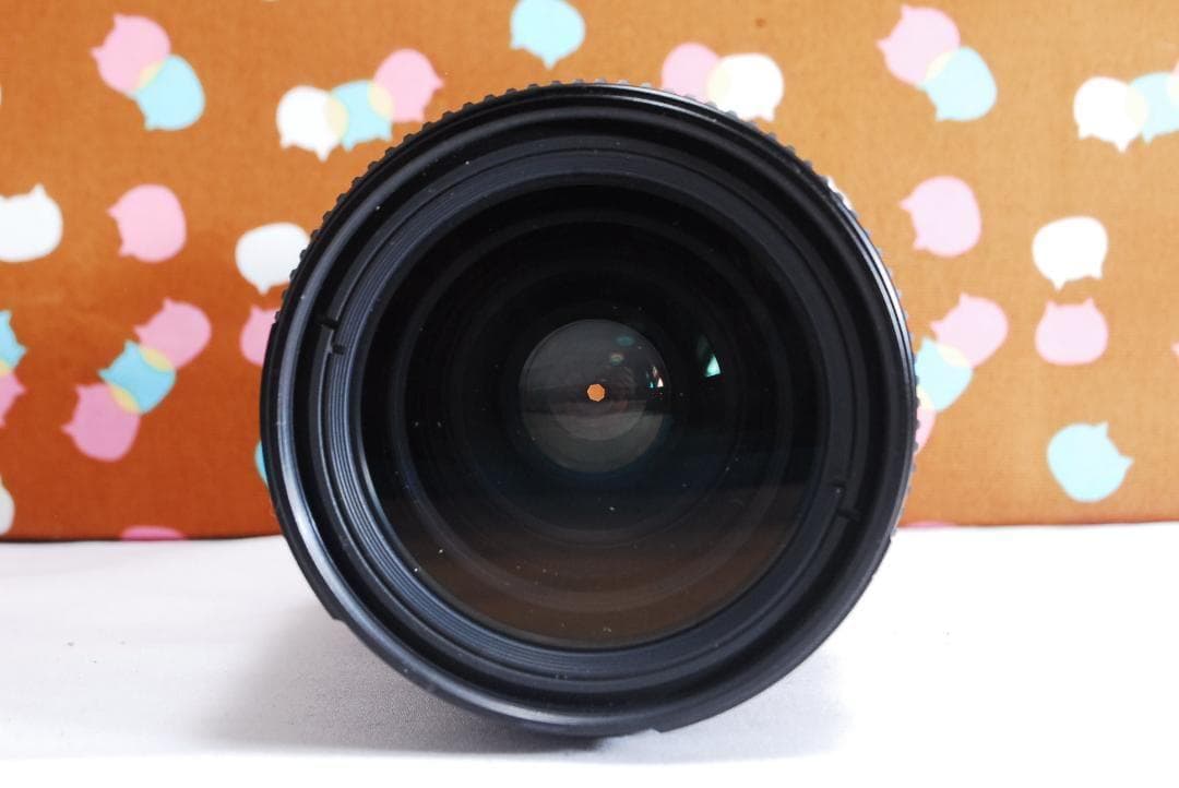 ✨お買い得✨ショット回数3742回✨Nikon D70 レンズセット