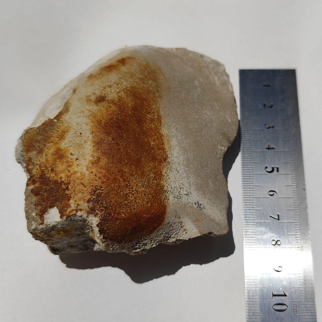 玉川温泉 北投石 ラジウム hokutolite ラドン ホルミシス約390g