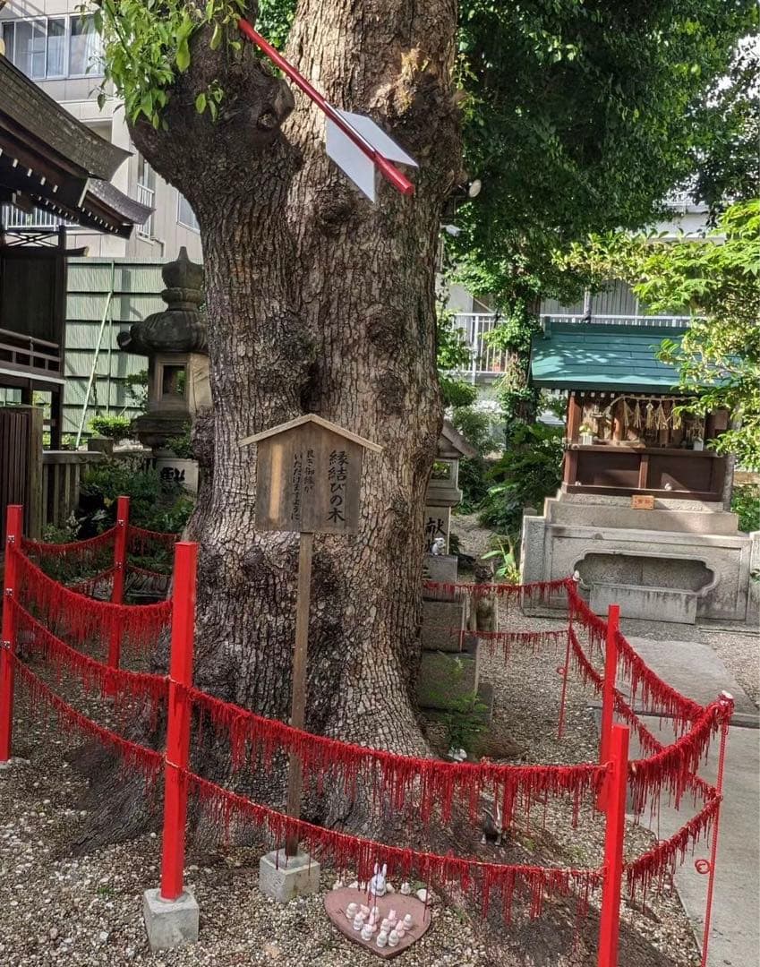 三輪神社♡250冊限定／御朱印ホルダー／両面ポケットファイル／うさぎ／ピンク