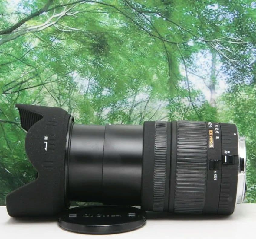 ❤普段使いこれ１本あればラクラク♪ SIGMA 18-125mm canon用❤