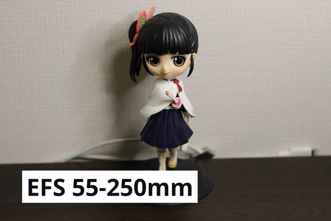 【レンズ5本セット】Canon EOS Kiss X5 単焦点付 美品　バック付