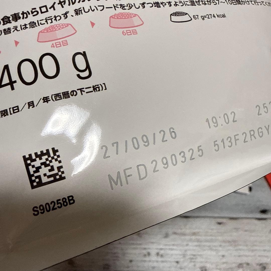  CANIN 成長後期の子猫用　セット