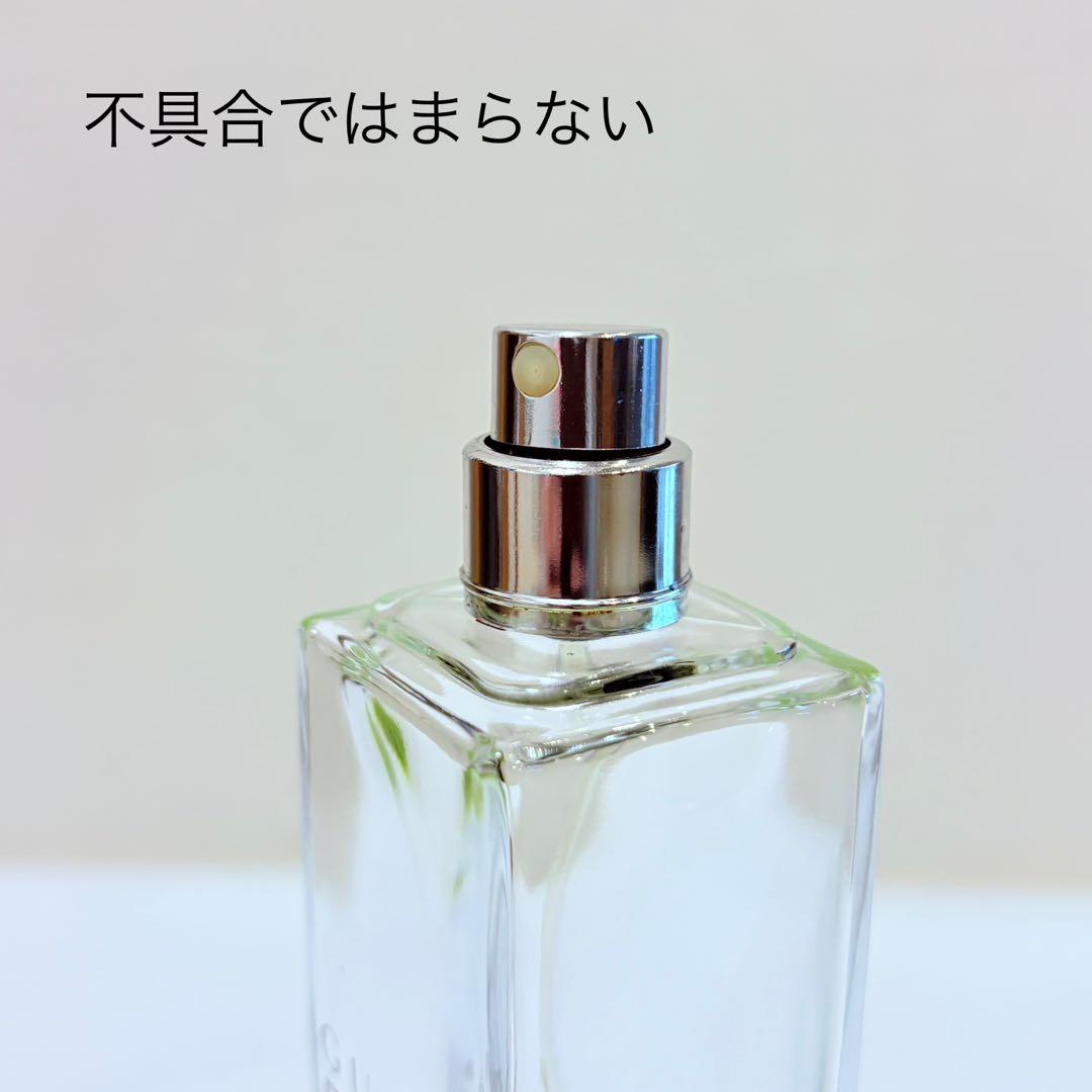 グッチ　エンヴィ　オードトワレ　香水　100ml GUCCI ENVY