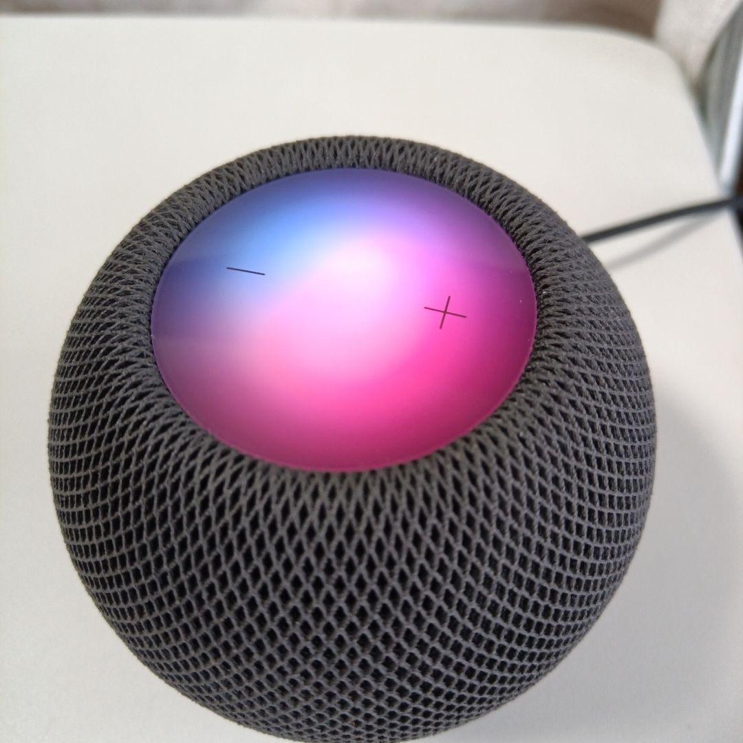 Apple Pod mini 純正 スペースグレイ