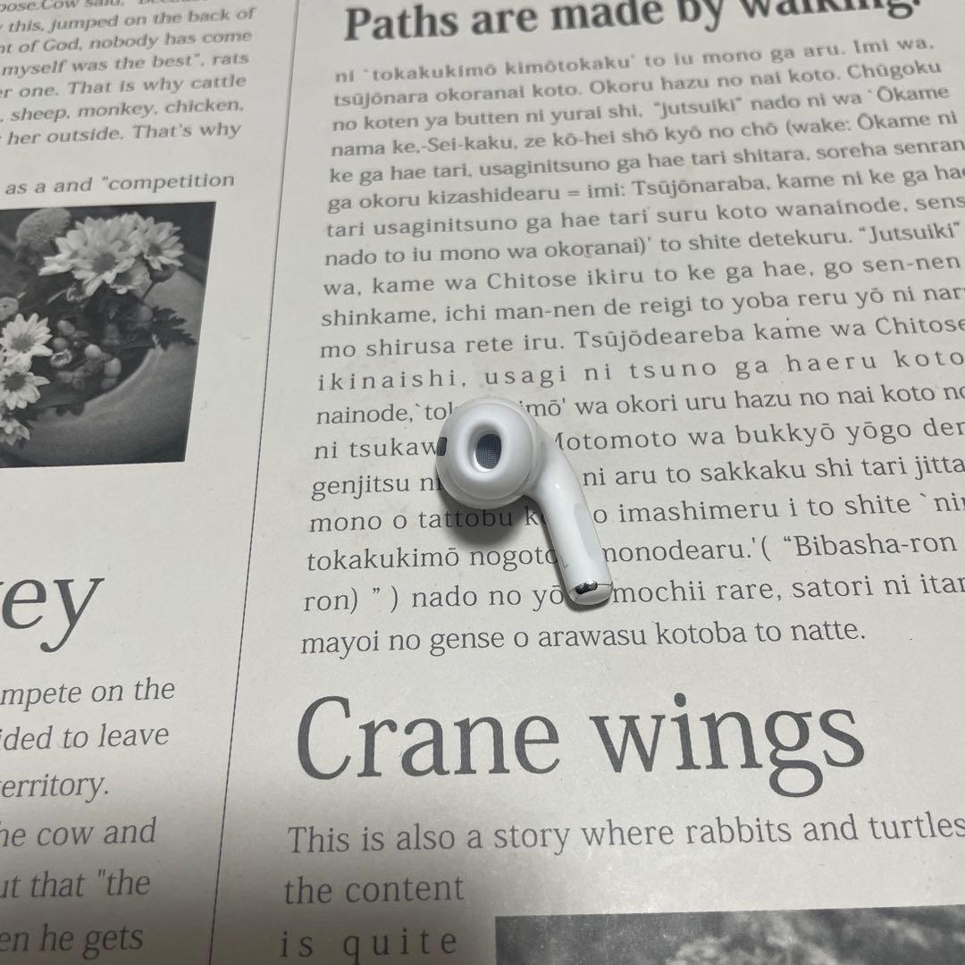 ⑩ 915974 Apple社純正品 AirPods Pro 第2世代 左耳のみ